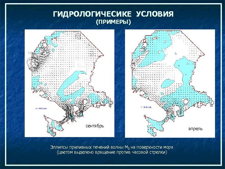 ГИДРОЛОГИЧЕСИКЕ УСЛОВИЯ (ПРИМЕРЫ) сентябрь Эллипсы приливных течений волны М 2 на поверхности моря (цветом