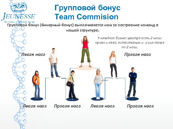 Групповой бонус Team Commision Групповой бонус (бинарный бонус) выплачивается нам за построение команд в