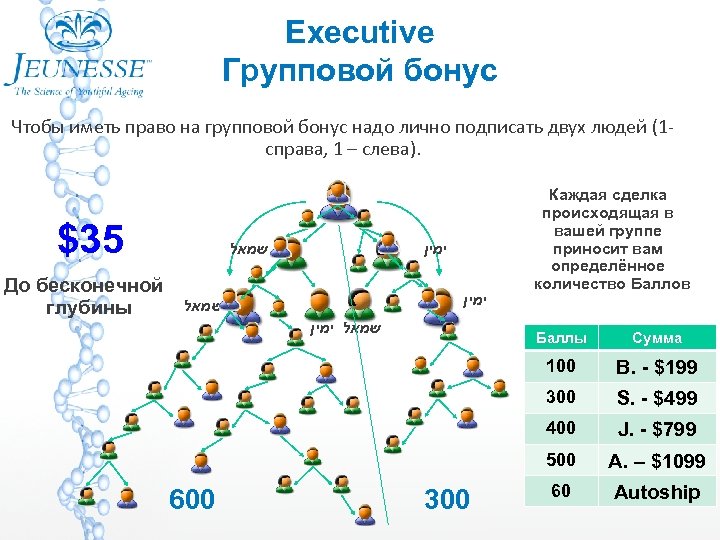 Executive Групповой бонус Чтобы иметь право на групповой бонус надо лично подписать двух людей