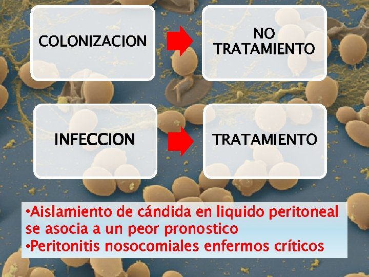 COLONIZACION NO TRATAMIENTO INFECCION TRATAMIENTO • Aislamiento de cándida en liquido peritoneal se asocia