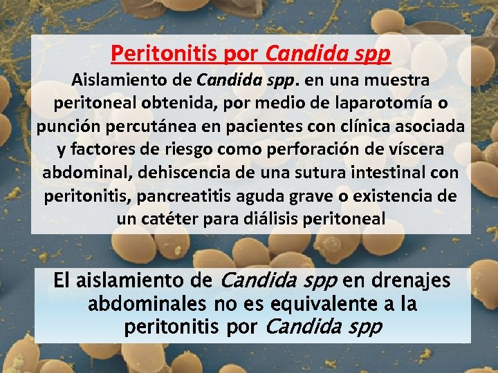 Peritonitis por Candida spp Aislamiento de Candida spp. en una muestra peritoneal obtenida, por