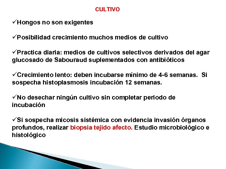 CULTIVO üHongos no son exigentes üPosibilidad crecimiento muchos medios de cultivo üPractica diaria: medios