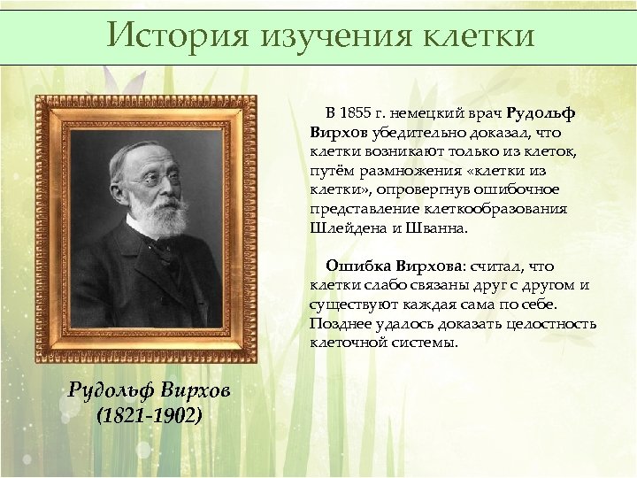 История изучения клетки В 1855 г. немецкий врач Рудольф Вирхов убедительно доказал, что клетки