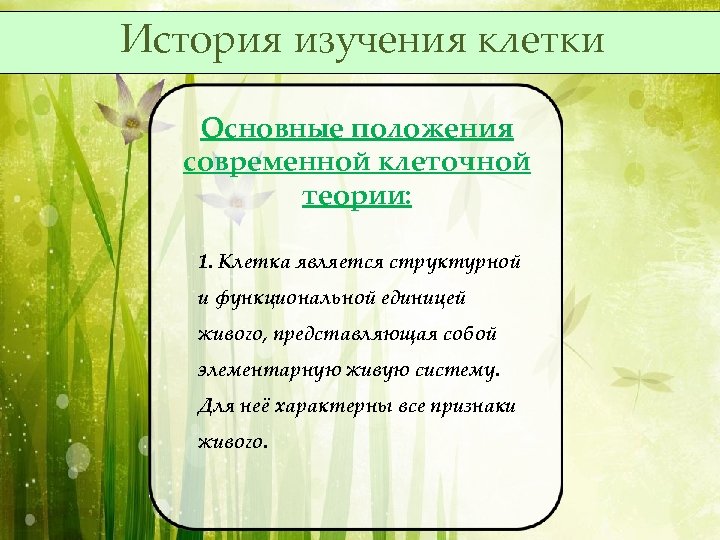 История изучения клетки Основные положения современной клеточной теории: 1. Клетка является структурной и функциональной