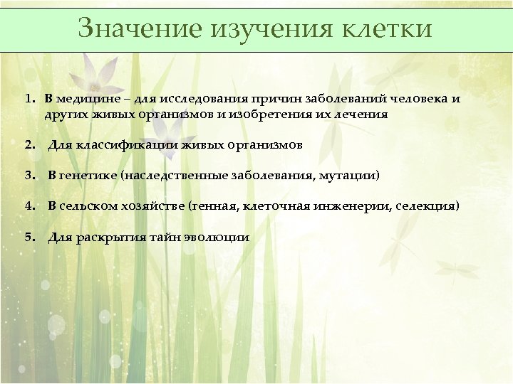 Значение изучения клетки 1. В медицине – для исследования причин заболеваний человека и других