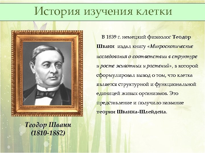 История изучения клетки В 1839 г. немецкий физиолог Теодор Шванн издал книгу «Микроскопические исследования