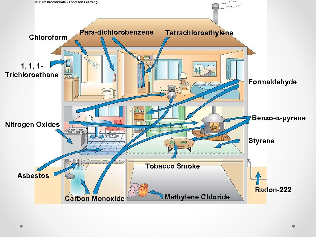 Chloroform Para-dichlorobenzene Tetrachloroethylene 1, 1, 1 Trichloroethane Formaldehyde Benzo-a-pyrene Nitrogen Oxides Styrene Tobacco Smoke
