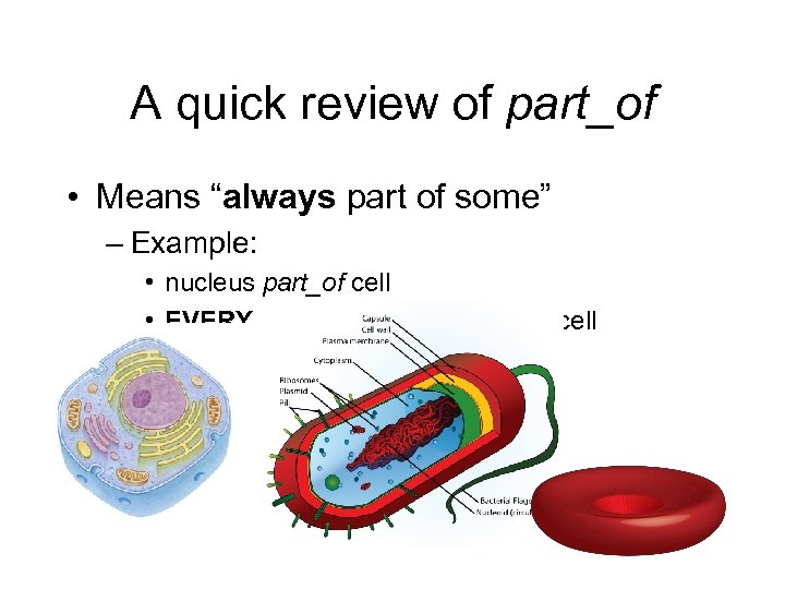 A quick review of part_of • Means “always part of some” – Example: •