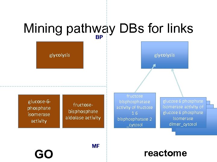 Mining pathway DBs for links BP glycolysis glucose-6 phosphate isomerase activity GO glycolysis fructosebisphosphate