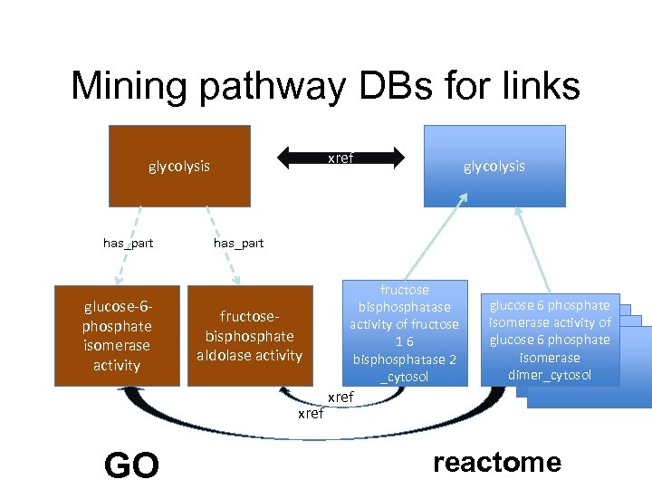 Mining pathway DBs for links xref glycolysis has_part glucose-6 phosphate isomerase activity has_part fructosebisphosphate