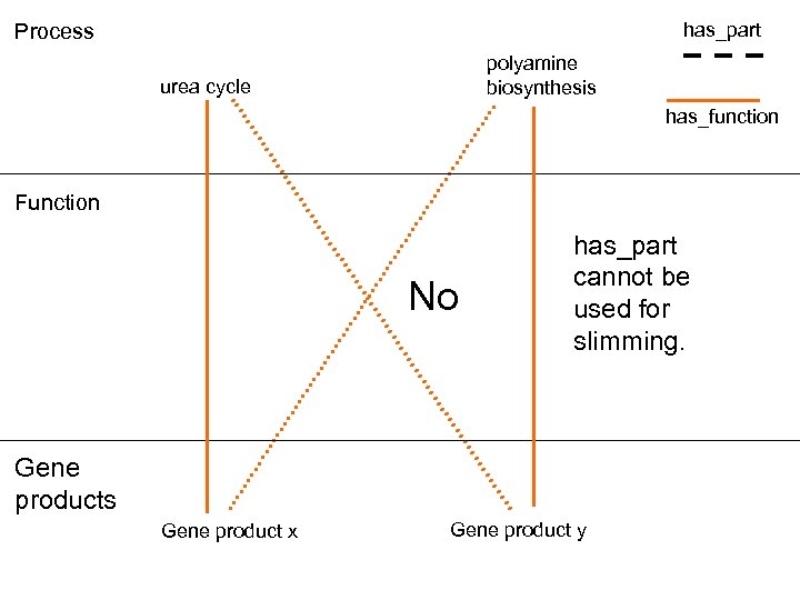has_part Process polyamine biosynthesis urea cycle has_function Function No has_part cannot be used for