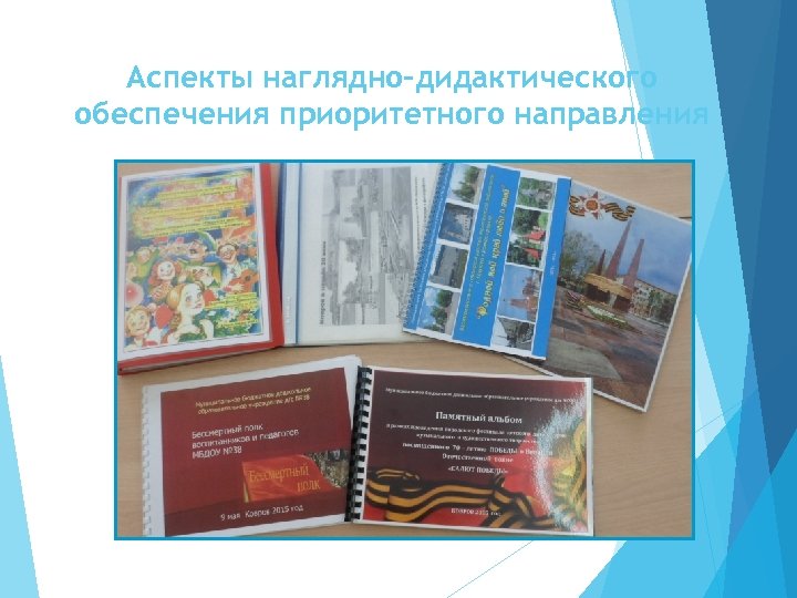 Аспекты наглядно-дидактического обеспечения приоритетного направления 