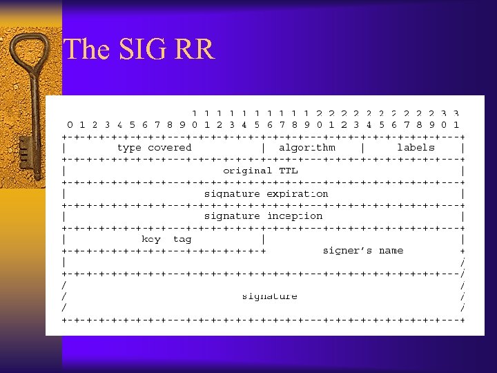 The SIG RR 