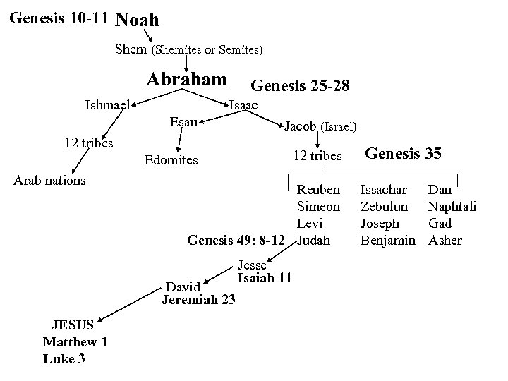 Genesis 10 -11 Noah Shem (Shemites or Semites) Abraham Ishmael Genesis 25 -28 Isaac