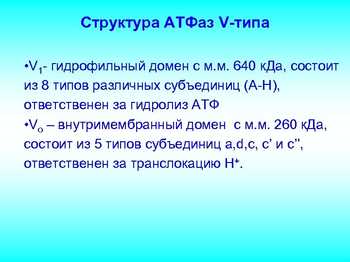 Структура АТФаз V-типа • V 1 - гидрофильный домен с м. м. 640 к.