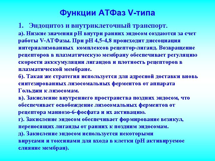 Функции АТФаз V-типа 1. Эндоцитоз и внутриклеточный транспорт. а). Низкие значения р. Н внутри