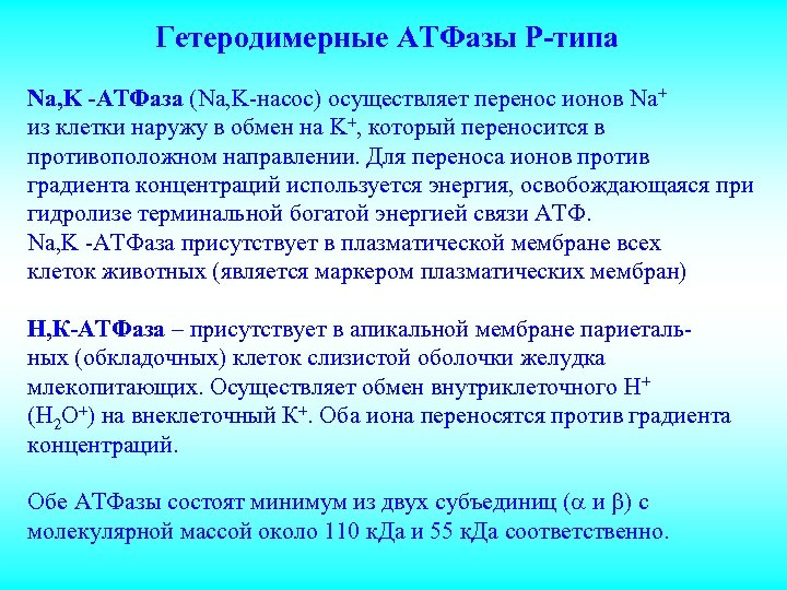 Гетеродимерные АТФазы Р-типа Na, K -ATФаза (Na, K-насос) осуществляет перенос ионов Na+ из клетки