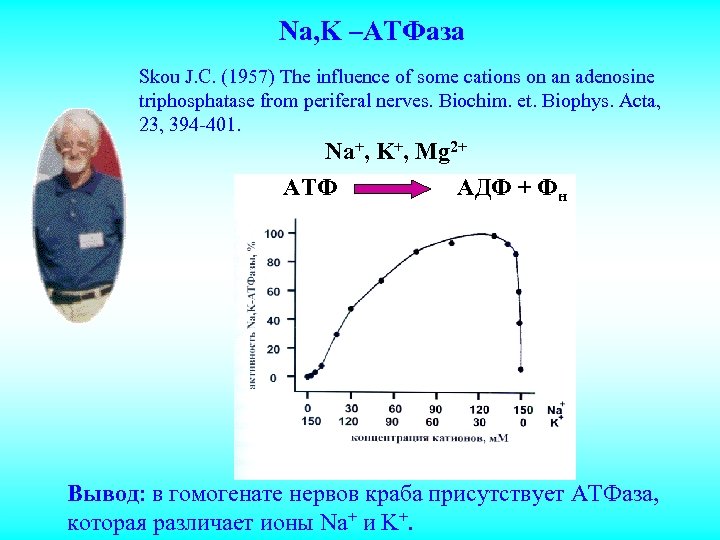 Na, K –ATФаза Skou J. C. (1957) The influence of some cations on an