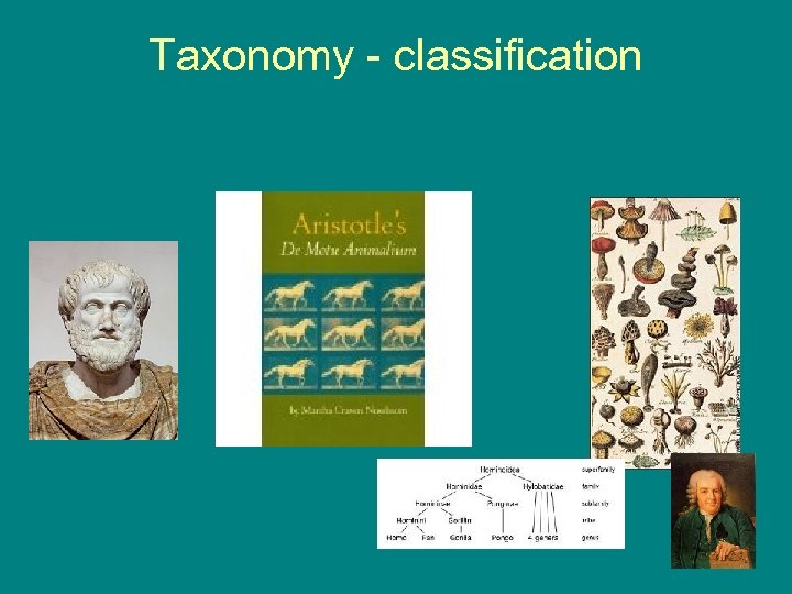 Taxonomy - classification 