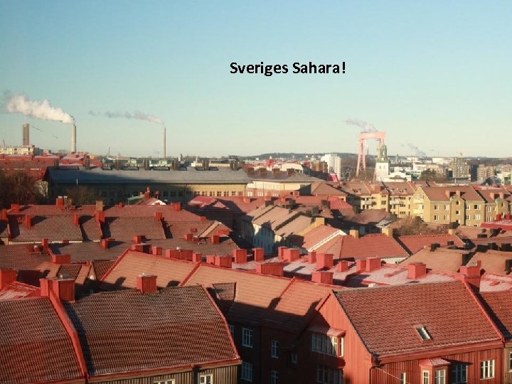 Sveriges Sahara! 