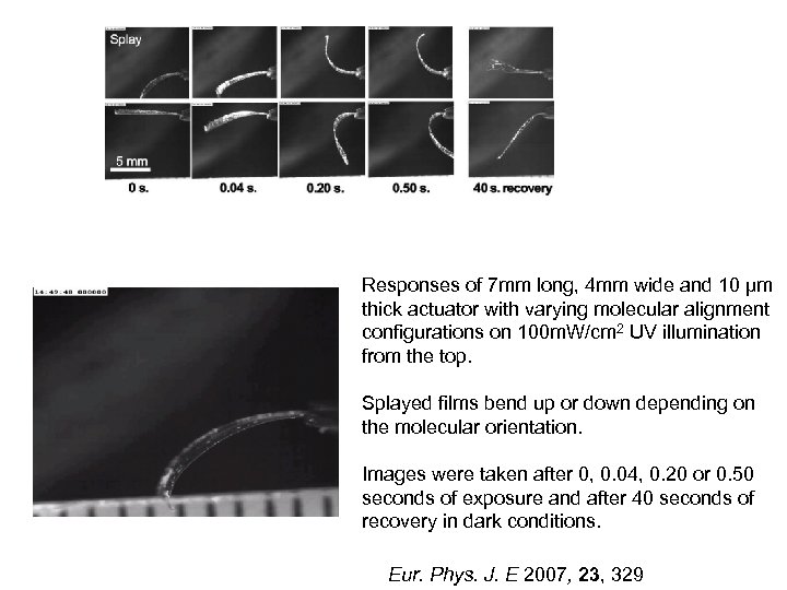 Responses of 7 mm long, 4 mm wide and 10 μm thick actuator with