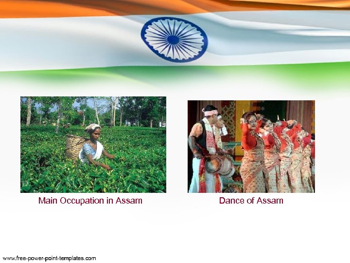 Main Occupation in Assam Dance of Assam 