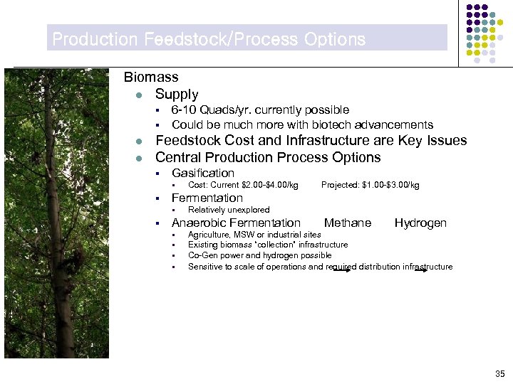 Production Feedstock/Process Options Biomass l Supply § § l l 6 -10 Quads/yr. currently