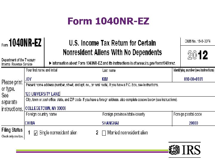 Form 1040 NR-EZ 