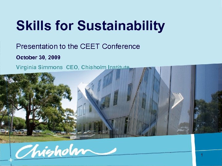 Skills for Sustainability Presentation to the CEET Conference October 30, 2009 Virginia Simmons CEO,