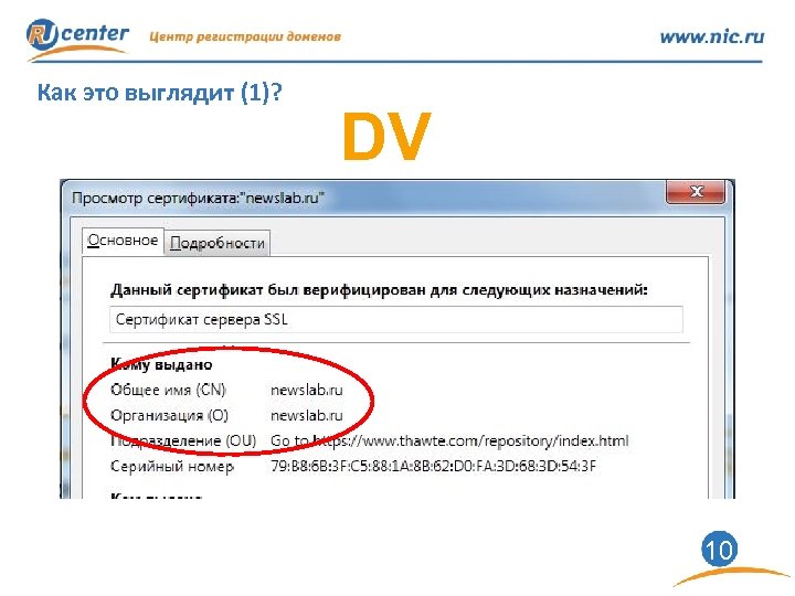 Как это выглядит (1)? DV 10 
