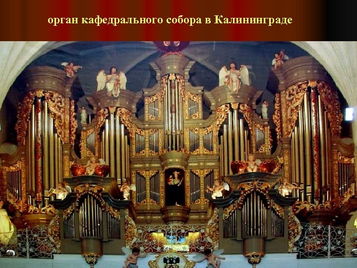 орган кафедрального собора в Калининграде 