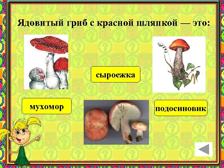 Ядовитый гриб с красной шляпкой — это: сыроежка мухомор подосиновик 