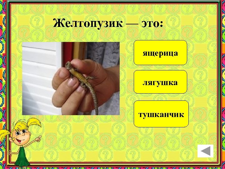 Желтопузик — это: ящерица лягушка тушканчик 