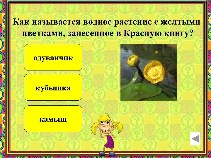 Как называется водное растение с желтыми цветками, занесенное в Красную книгу? одуванчик кубышка камыш