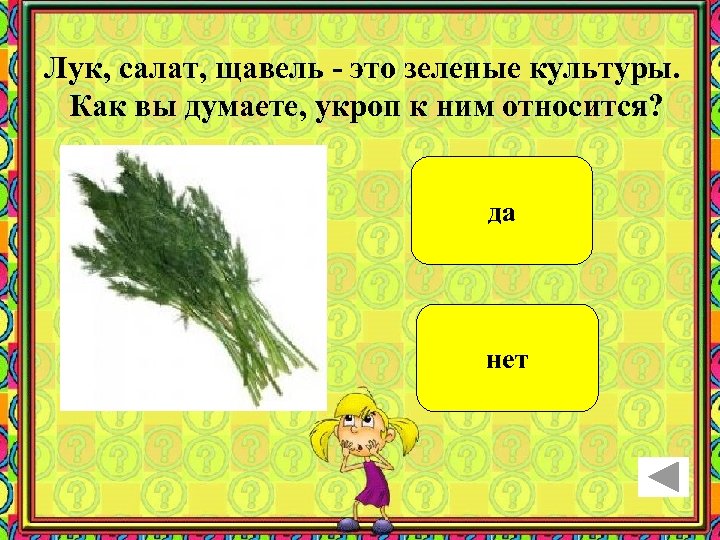 Лук, салат, щавель - это зеленые культуры. Как вы думаете, укроп к ним относится?