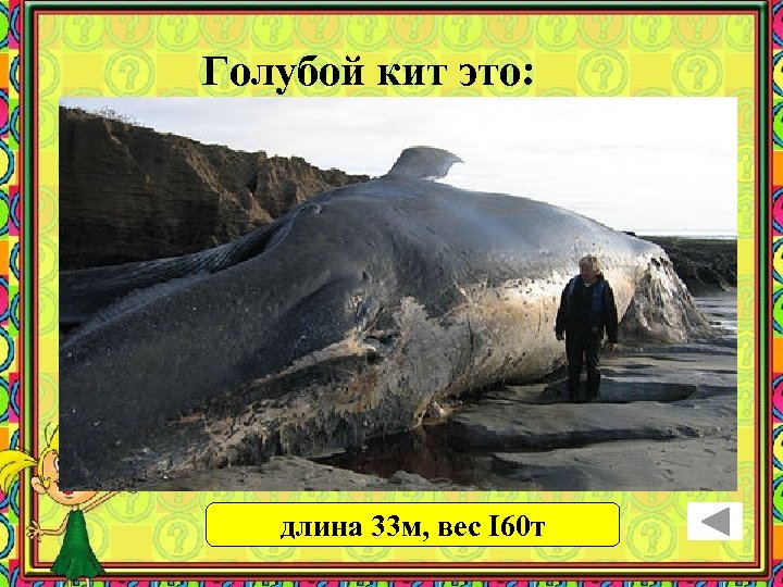 Голубой кит это: самое большое водное животное самое большое из всех существующих животных самая