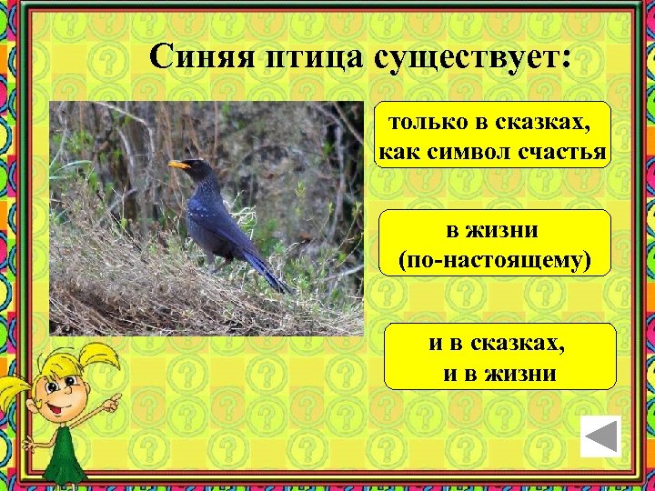 Синяя птица существует: только в сказках, как символ счастья в жизни (по-настоящему) и в