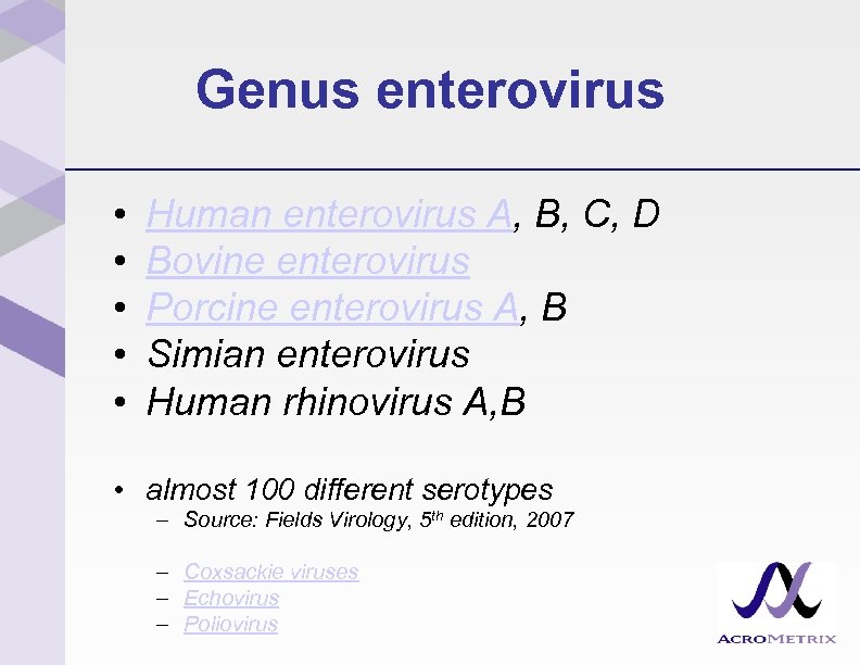 Genus enterovirus • • • Human enterovirus A, B, C, D Bovine enterovirus Porcine