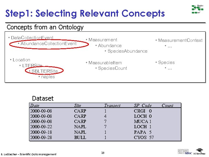 Step 1: Selecting Relevant Concepts from an Ontology • Data. Collection. Event • Abundance.