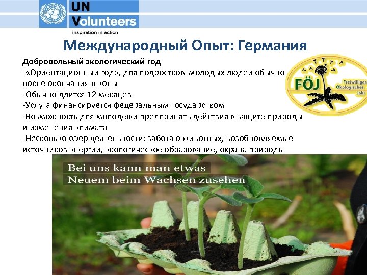 Международный Опыт: Германия Добровольный экологический год - «Ориентационный год» , для подростков молодых людей
