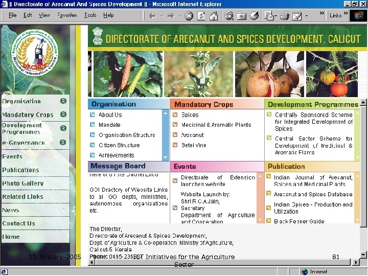 11 -January-2005 ICT Initiatives for the Agriculture Sector 81 