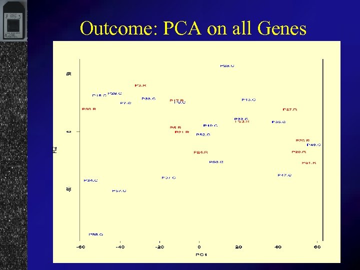 Outcome: PCA on all Genes 