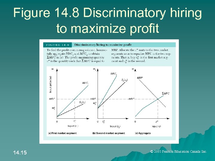 Figure 14. 8 Discriminatory hiring to maximize profit 14. 15 © 2005 Pearson Education