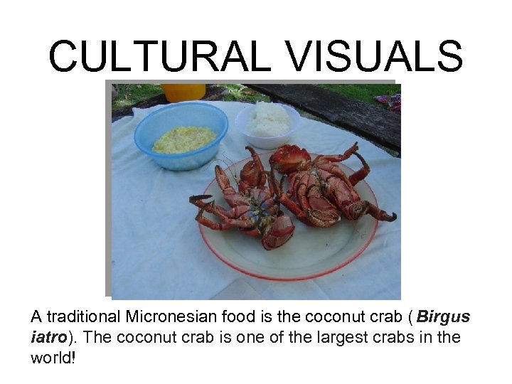 CULTURAL VISUALS A traditional Micronesian food is the coconut crab ( Birgus iatro). The