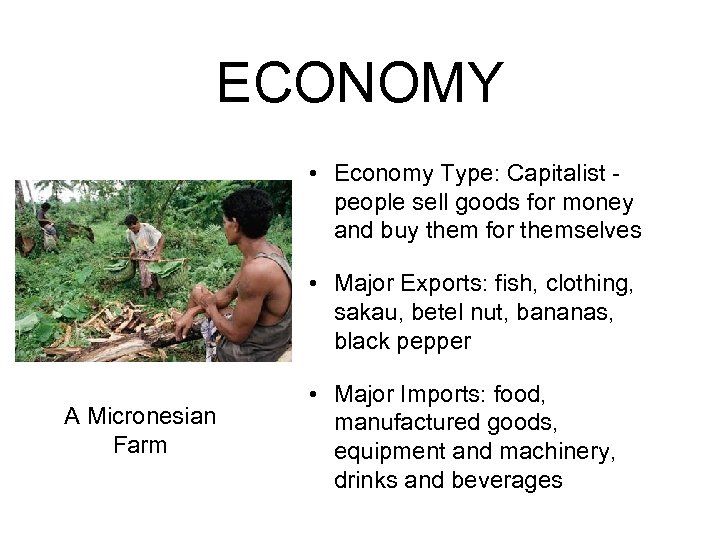 ECONOMY • Economy Type: Capitalist people sell goods for money and buy them for