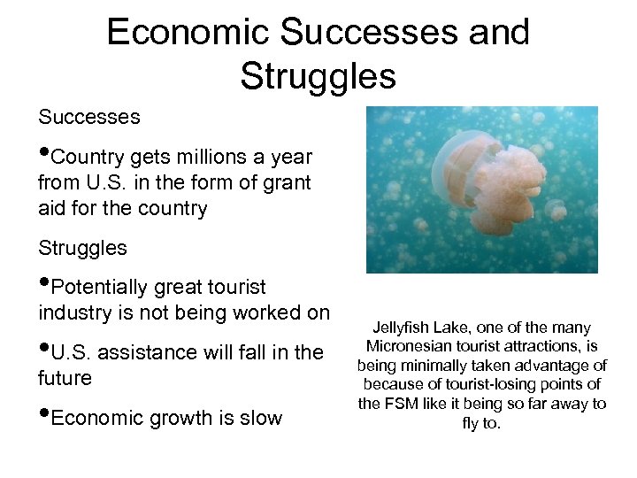 Economic Successes and Struggles Successes • Country gets millions a year from U. S.