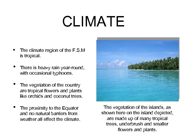 CLIMATE • • The climate region of the F. S. M is tropical. There