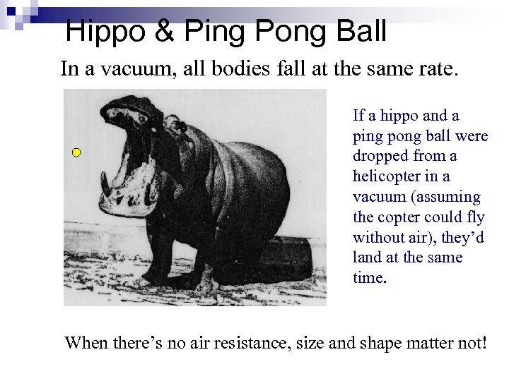 Hippo & Ping Pong Ball In a vacuum, all bodies fall at the same