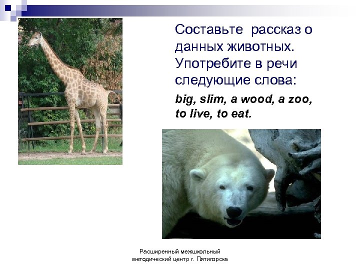 Составьте рассказ о данных животных. Употребите в речи следующие слова: big, slim, a wood,