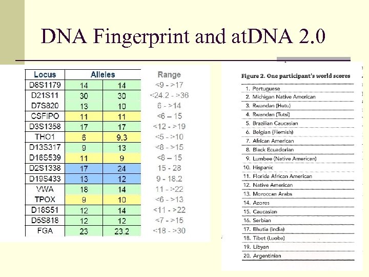 DNA Fingerprint and at. DNA 2. 0 